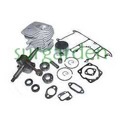 Kit de reconstrucción de motor Partner K650 Active