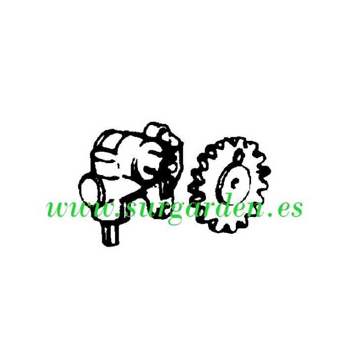 Bomba de engrase motosierra Partner P720 referencia 227530