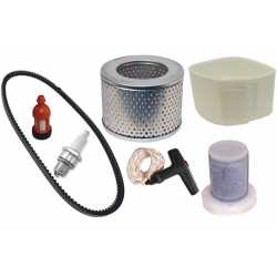 Kit de servicio para cortadora Stihl TS350 / TS360 