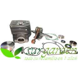 Kit de reconstrucción de motor Stihl FS550 / FS420 / FS360 de 46 mms