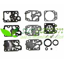 K10-WY Kit de reparación Walbro ref. K10WY
