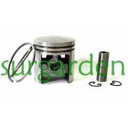 Pistón completo Alpina / Castor 45 referencia 8540050 (41 mms.)