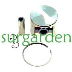 Pistón completo Alpina / Castor 700 / 750 / 760 referencia 8541410 (50 mms.)