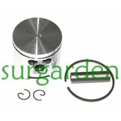 Pistón completo Alpina / Castor TS21 - TS24  referencia 8540720 (30 mms.)