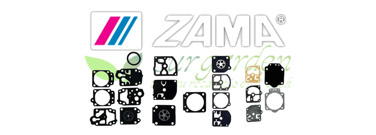 Juegos de membranas Zama