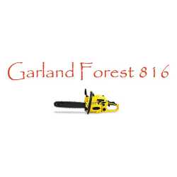 Motosierra Garland Forest 816